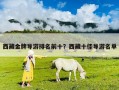 西藏金牌導游排名前十？西藏十佳導游名單