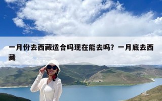 一月份去西藏適合嗎現在能去嗎？一月底去西藏