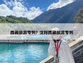 西藏旅游專列？沈陽西藏旅游專列