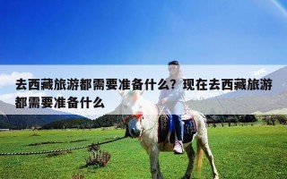 去西藏旅游都需要準(zhǔn)備什么？現(xiàn)在去西藏旅游都需要準(zhǔn)備什么