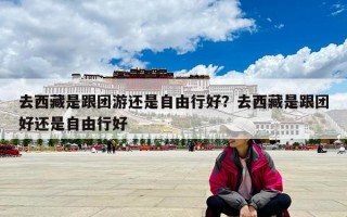 去西藏是跟團游還是自由行好？去西藏是跟團好還是自由行好