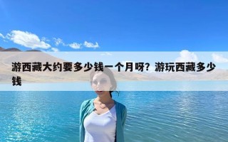 游西藏大約要多少錢一個月呀？游玩西藏多少錢