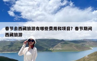 春節(jié)去西藏旅游有哪些費(fèi)用和項(xiàng)目？春節(jié)期間西藏旅游