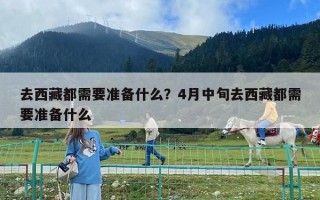 去西藏都需要準備什么？4月中旬去西藏都需要準備什么