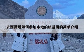 去西藏后如何參加本地的旅游團的簡單介紹