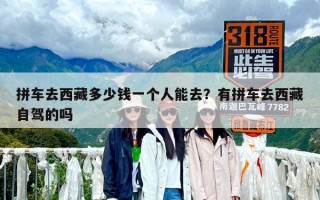 拼車去西藏多少錢一個人能去？有拼車去西藏自駕的嗎