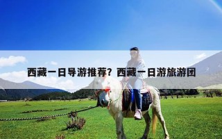 西藏一日導游推薦？西藏一日游旅游團