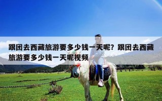 跟團(tuán)去西藏旅游要多少錢一天呢？跟團(tuán)去西藏旅游要多少錢一天呢視頻
