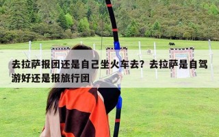 去拉薩報團還是自己坐火車去？去拉薩是自駕游好還是報旅行團