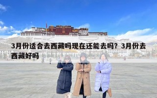 3月份適合去西藏嗎現(xiàn)在還能去嗎？3月份去西藏好嗎