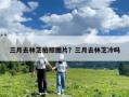 三月去林芝拍照?qǐng)D片？三月去林芝冷嗎