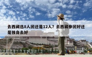 去西藏選8人團還是12人？去西藏參團好還是獨自去好