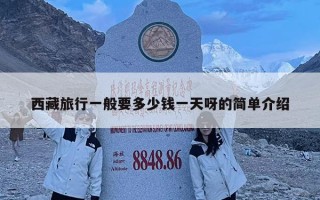 西藏旅行一般要多少錢一天呀的簡單介紹