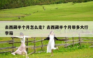 去西藏半個月怎么走？去西藏半個月帶多大行李箱