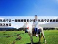 從南寧去一趟西藏要多少錢？從南寧去西藏自駕怎樣走