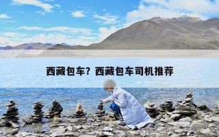 西藏包車？西藏包車司機推薦