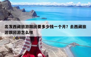 出發(fā)西藏旅游跟團(tuán)要多少錢一個(gè)月？去西藏旅游跟團(tuán)游怎么樣