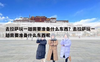 去拉薩玩一趟需要準(zhǔn)備什么東西？去拉薩玩一趟需要準(zhǔn)備什么東西呢