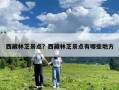 西藏林芝景點？西藏林芝景點有哪些地方