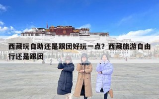 西藏玩自助還是跟團(tuán)好玩一點？西藏旅游自由行還是跟團(tuán)