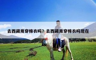 去西藏用穿棉衣嗎？去西藏用穿棉衣嗎現(xiàn)在