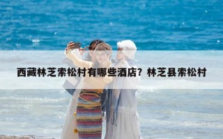 西藏林芝索松村有哪些酒店？林芝縣索松村
