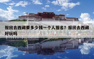 報團去西藏要多少錢一個人報名？報團去西藏好玩嗎