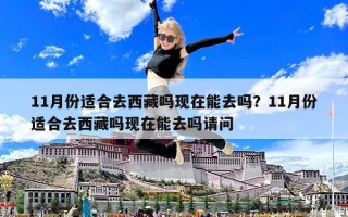 11月份適合去西藏嗎現(xiàn)在能去嗎？11月份適合去西藏嗎現(xiàn)在能去嗎請問