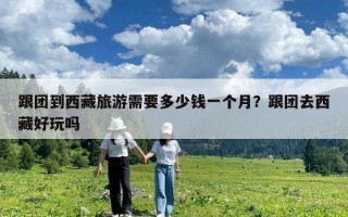 跟團到西藏旅游需要多少錢一個月？跟團去西藏好玩嗎