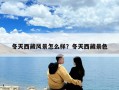 冬天西藏風(fēng)景怎么樣？冬天西藏景色