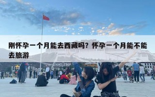 剛懷孕一個(gè)月能去西藏嗎？懷孕一個(gè)月能不能去旅游