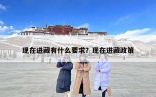 現在進藏有什么要求？現在進藏政策