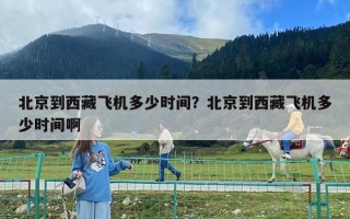 北京到西藏飛機(jī)多少時(shí)間？北京到西藏飛機(jī)多少時(shí)間啊