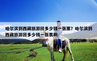 哈爾濱到西藏旅游團多少錢一張票？哈爾濱到西藏旅游團多少錢一張票啊