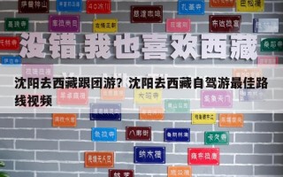 沈陽去西藏跟團(tuán)游？沈陽去西藏自駕游最佳路線視頻