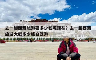 去一趟西藏旅游要多少錢呢現(xiàn)在？去一趟西藏旅游大概多少錢自駕游
