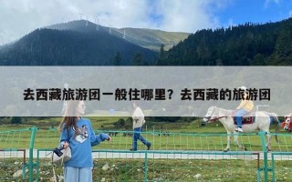 去西藏旅游團一般住哪里？去西藏的旅游團