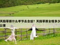 天路草原什么季節(jié)去合適？天路草原全程多少公里