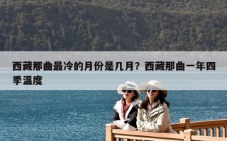 西藏那曲最冷的月份是幾月？西藏那曲一年四季溫度