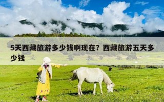 5天西藏旅游多少錢啊現(xiàn)在？西藏旅游五天多少錢