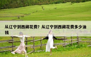 從遼寧到西藏花費？從遼寧到西藏花費多少油錢