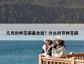 幾月份種芝麻最合適？什么時(shí)節(jié)種芝麻
