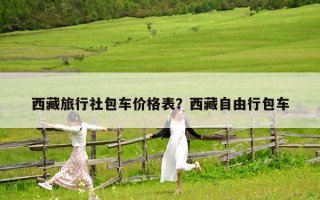 西藏旅行社包車價格表？西藏自由行包車