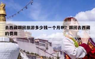 去西藏跟團旅游多少錢一個月啊？跟團去西藏的費用