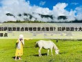 拉薩旅游景點有哪些景點推薦？拉薩旅游十大景點