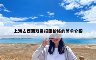 上海去西藏雙臥報團(tuán)價格的簡單介紹