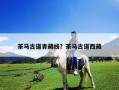 茶馬古道青藏線？茶馬古道西藏