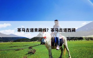 茶馬古道青藏線？茶馬古道西藏