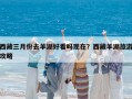 西藏三月份去羊湖好看嗎現(xiàn)在？西藏羊湖旅游攻略