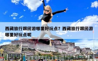 西藏旅行跟團(tuán)游哪里好玩點(diǎn)？西藏旅行跟團(tuán)游哪里好玩點(diǎn)呢